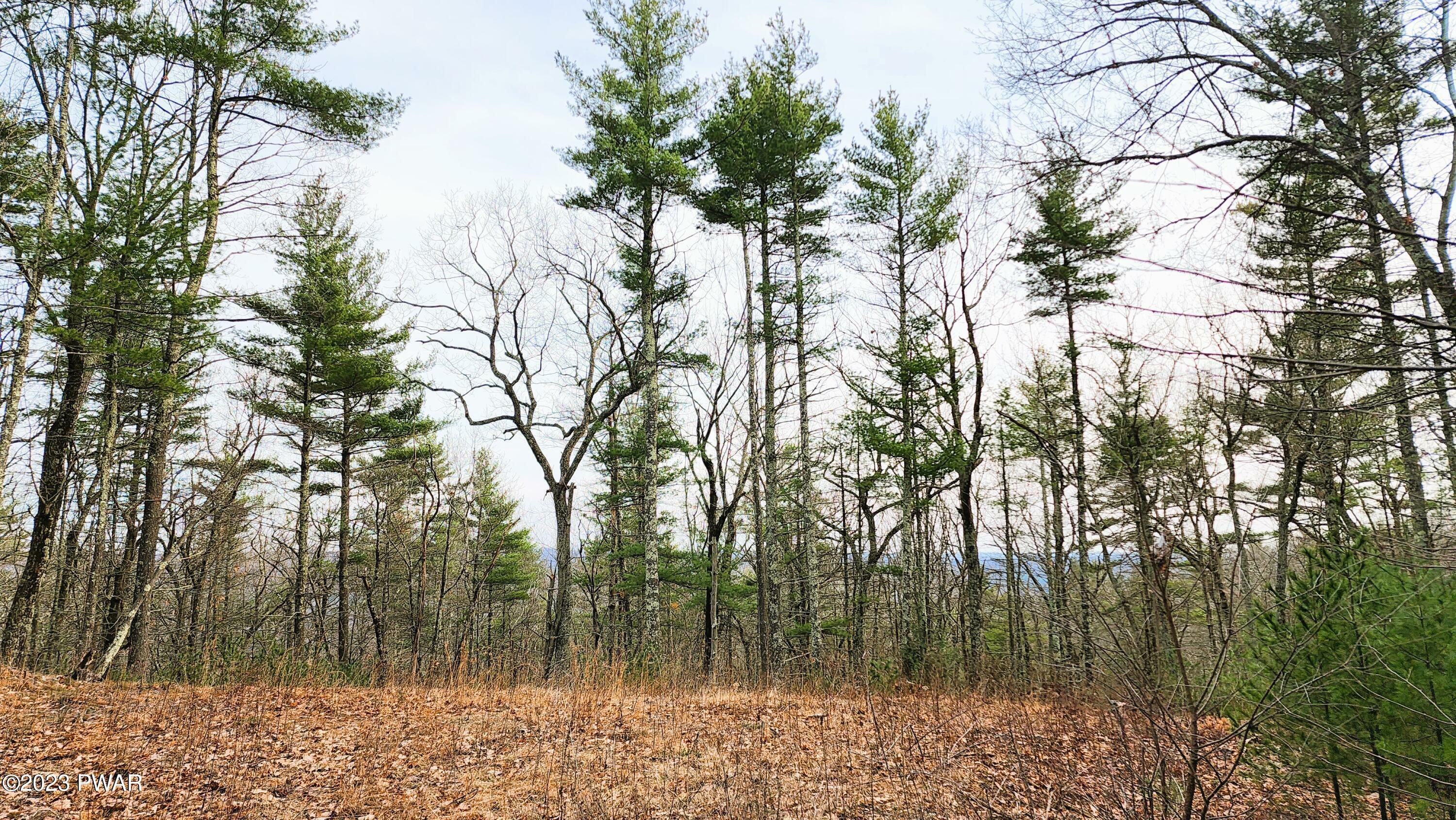 Property Photo:  Lot 31 Valley View Court  PA 18337 