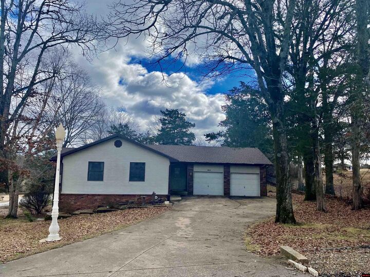 709 Dogleg Drive  Mountain Home AR 72653 photo