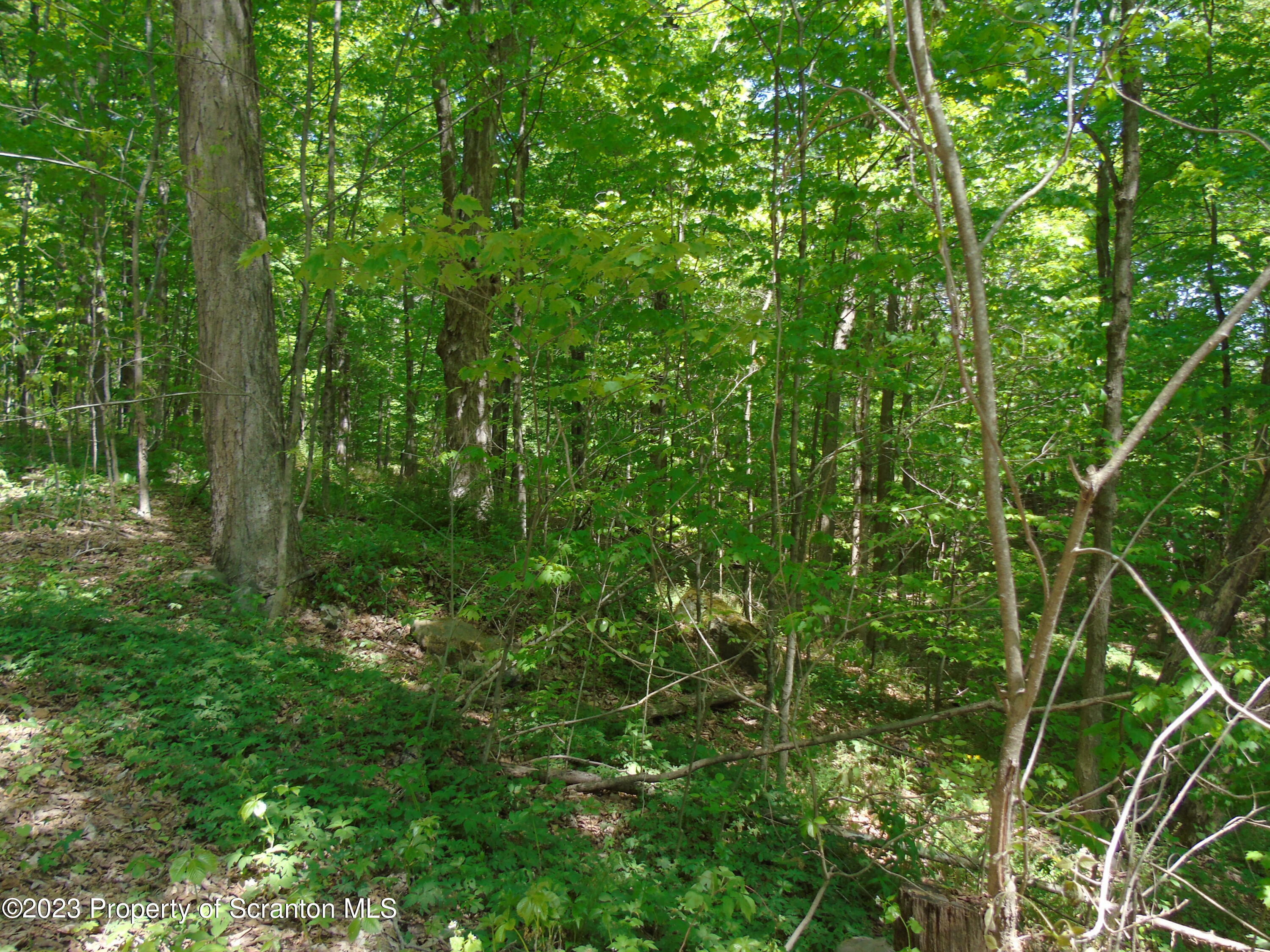 Property Photo:  Brookside Turnersville Road  PA 18424 