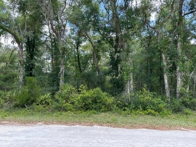 Property Photo: 6471 Otter Drive FL 33597