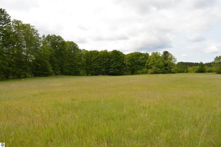 Property Photo: L Summit City Road MI 49649
