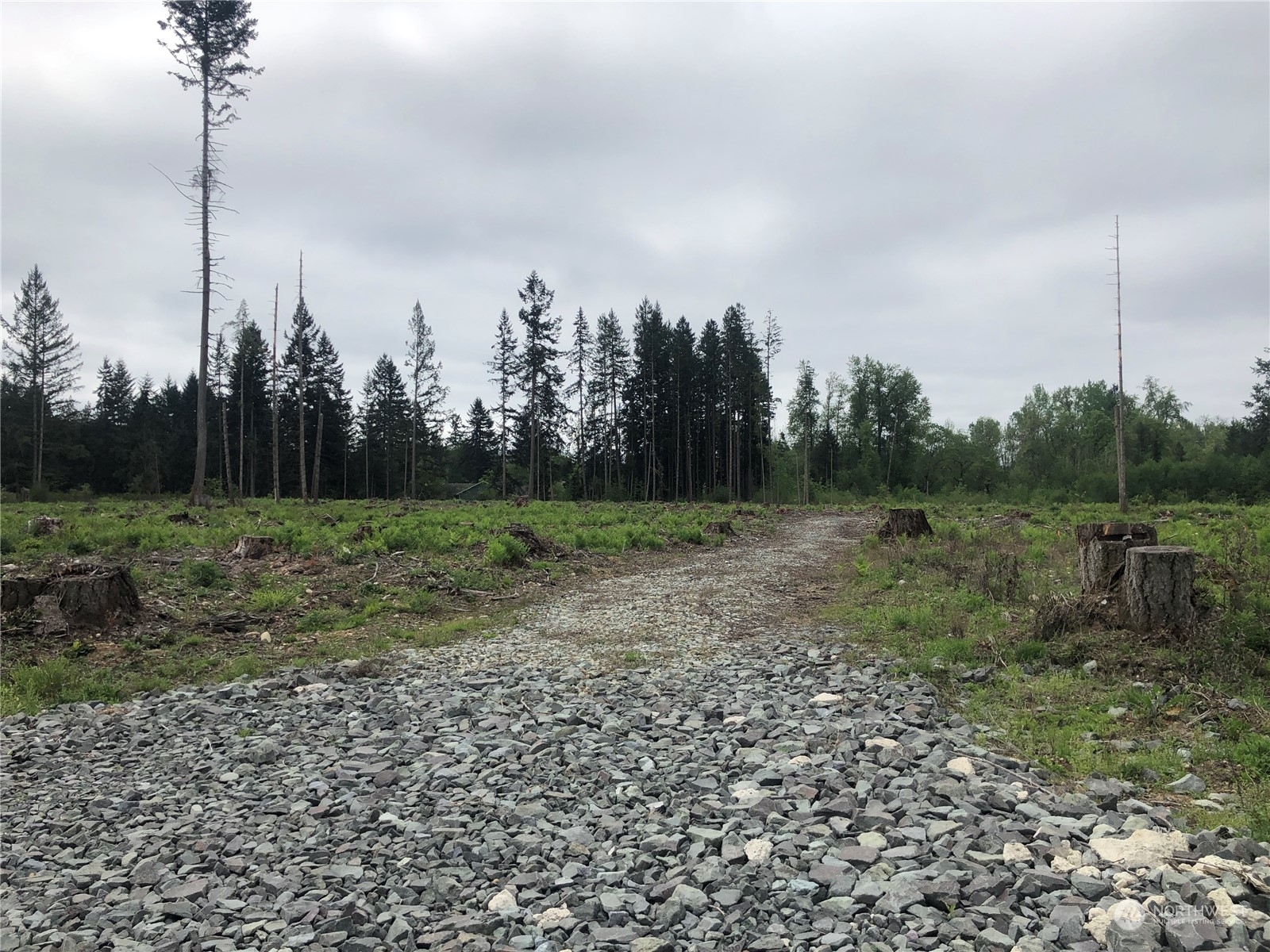Property Photo: 0 346th Street E WA 98580