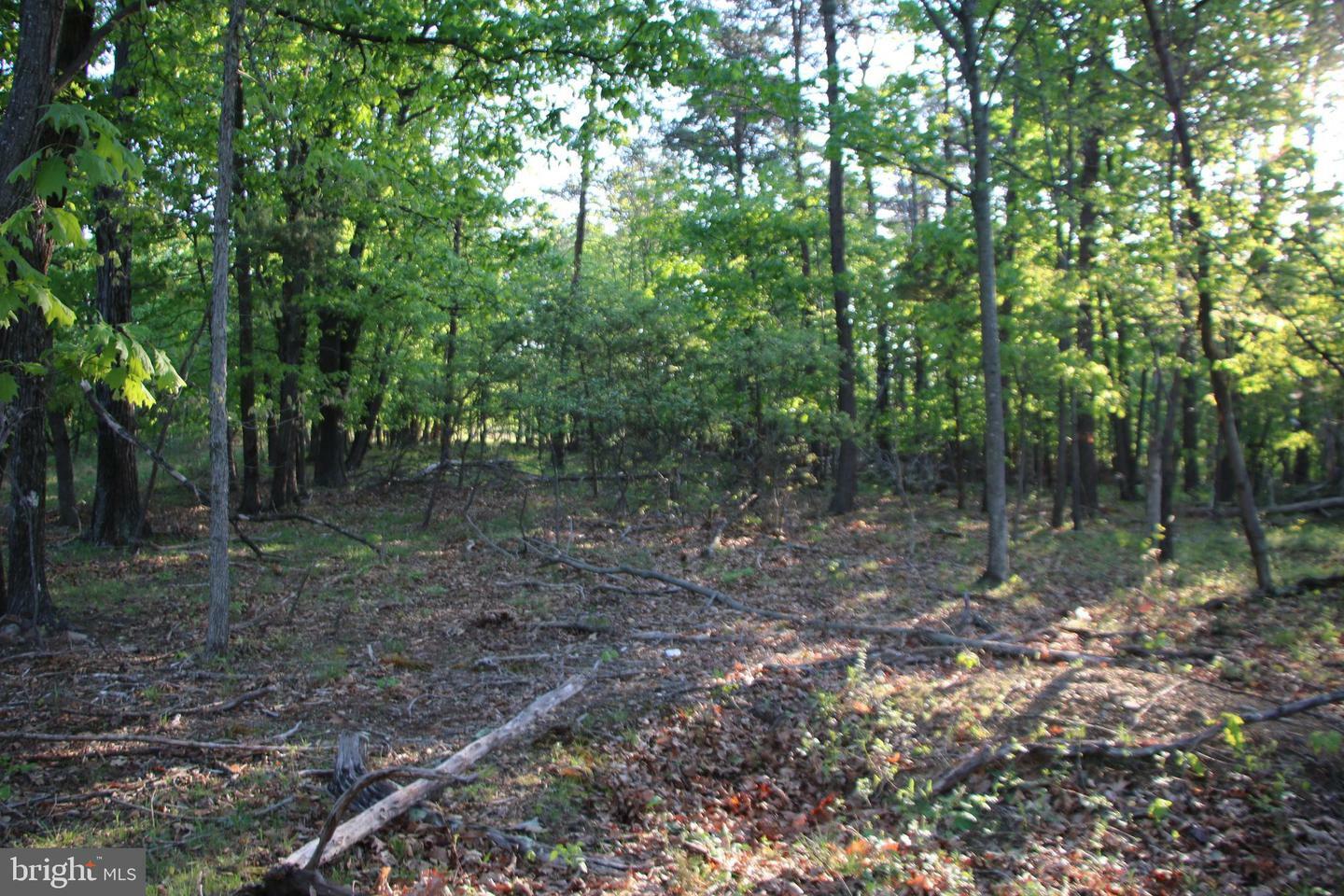 Property Photo:  760 Newlins Hill Road  VA 22603 