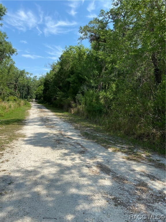 Property Photo:  545 S Winterset Avenue  FL 34429 