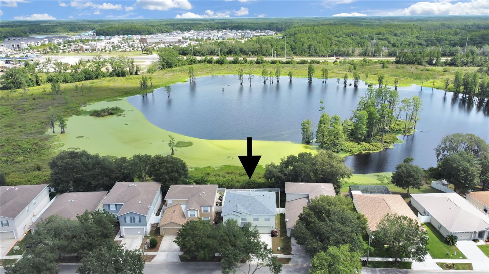 Property Photo:  13655 Vanderbilt Road  FL 33556 