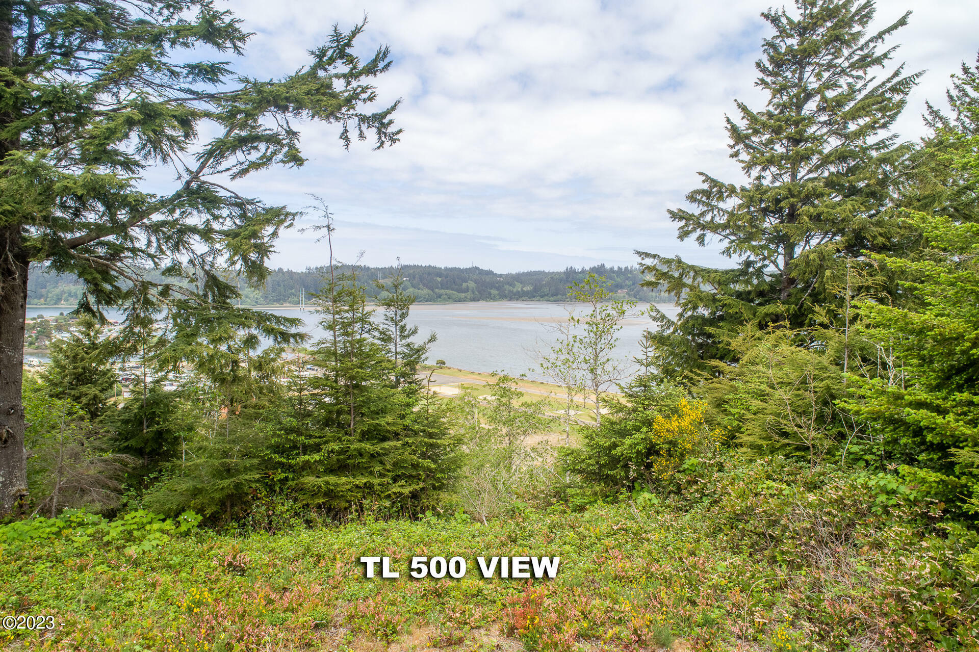 Property Photo:  Tl 500 Alsea Hwy  OR 97394 