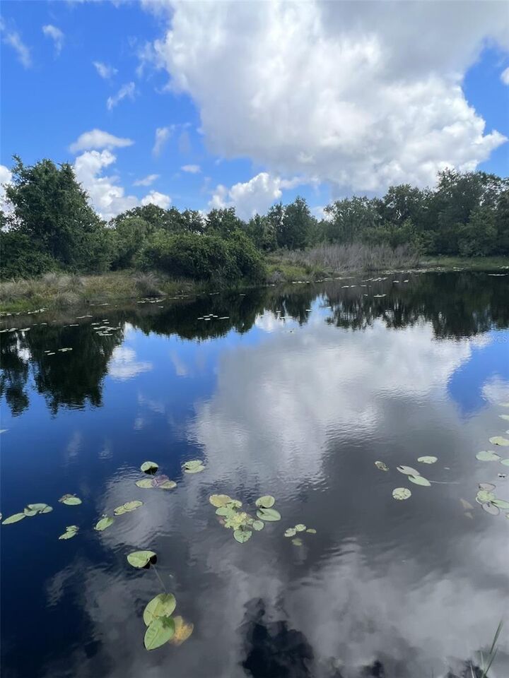 Property Photo:  8674 Breeze Hill Drive  FL 33898 