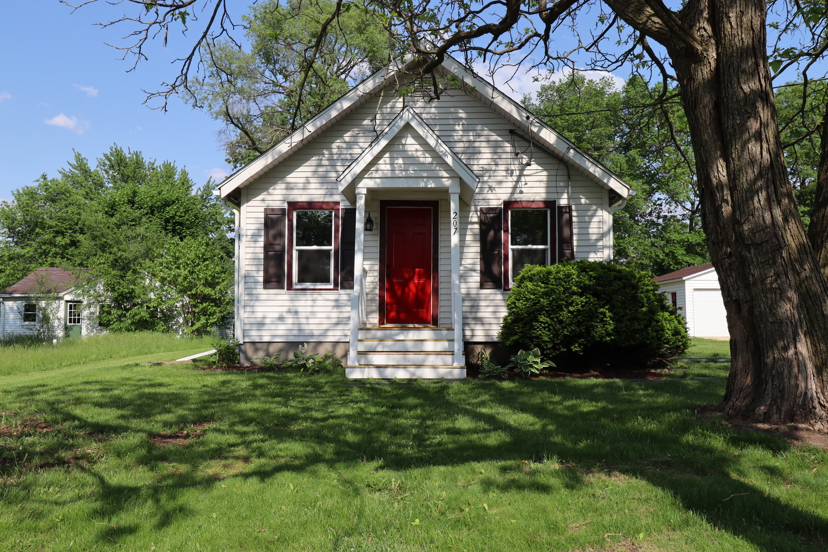 Property Photo:  207 S Garfield Avenue  IL 61080 