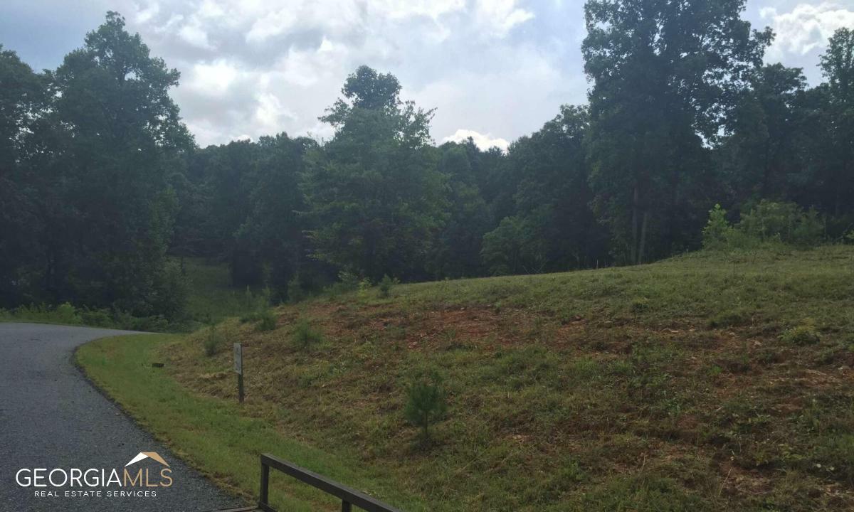 Property Photo:  0 Coras Way Lot 29  GA 30512 