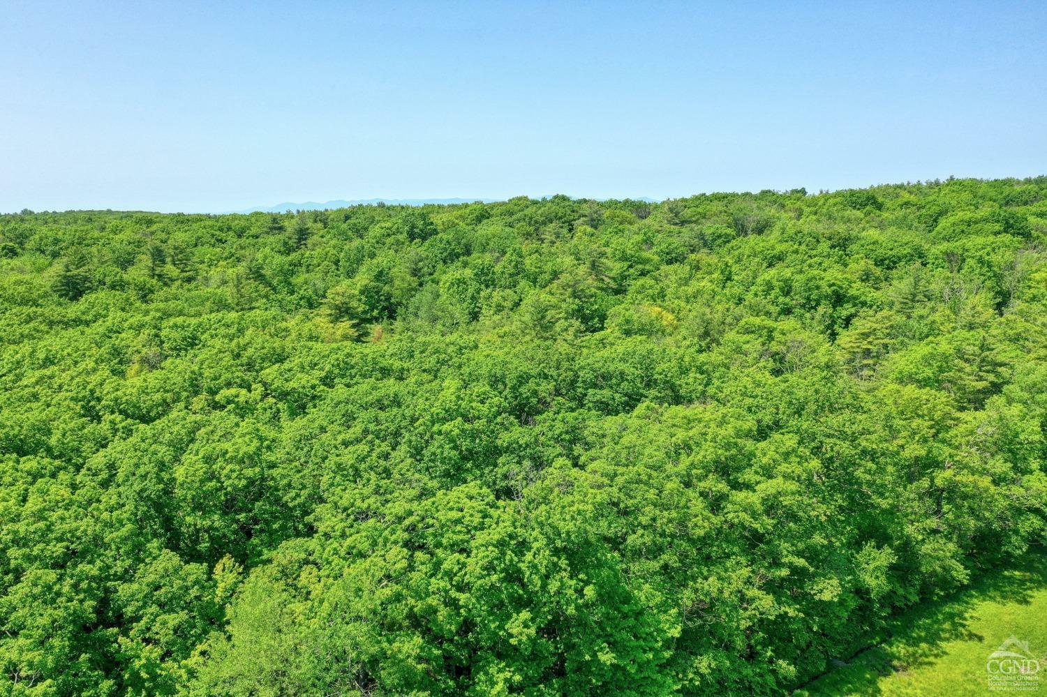 Property Photo:  0 Wadsworth Hill Rd  NY 12212 