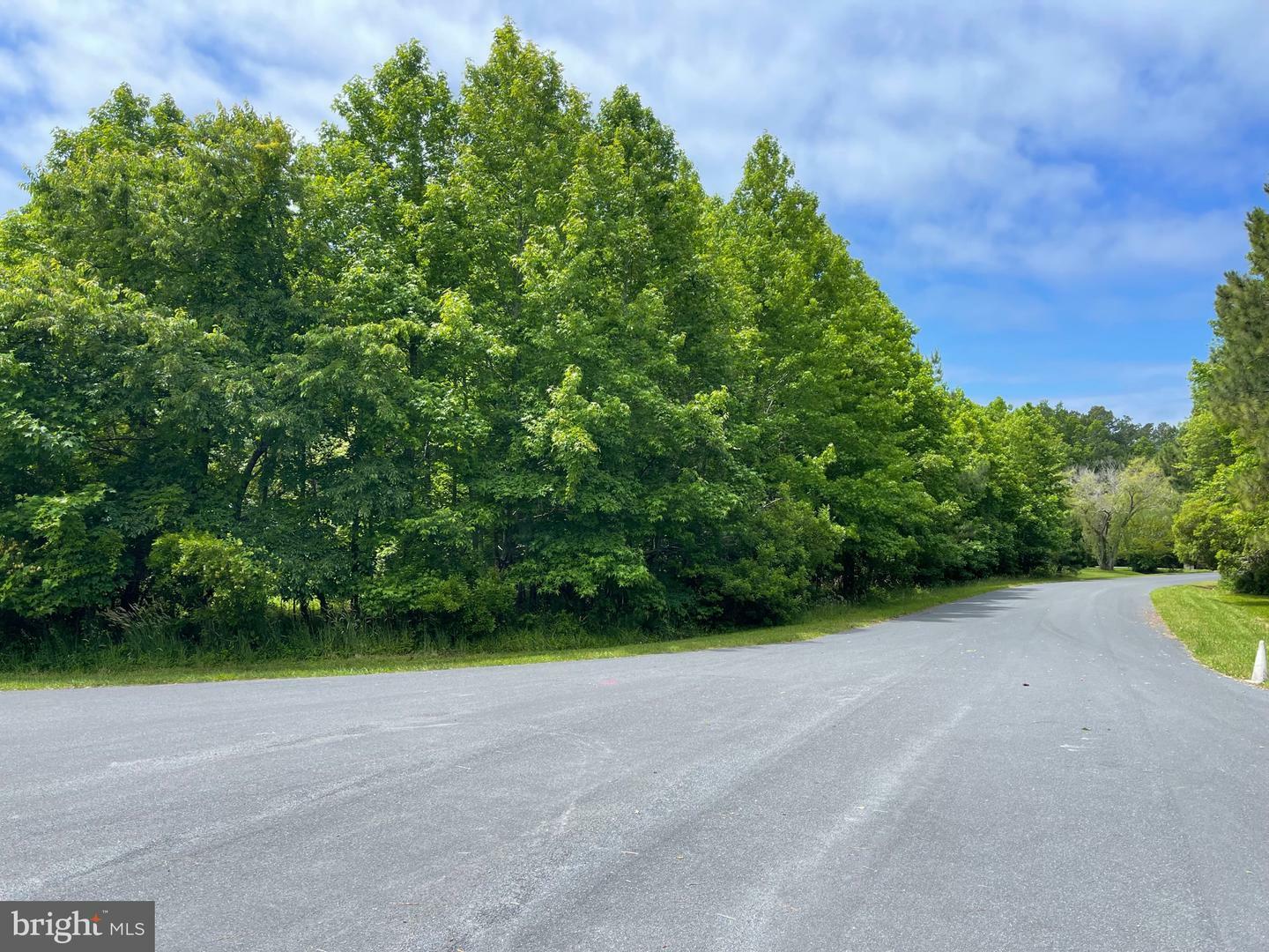 Property Photo:  0 Grays Creek Drive  MD 21811 