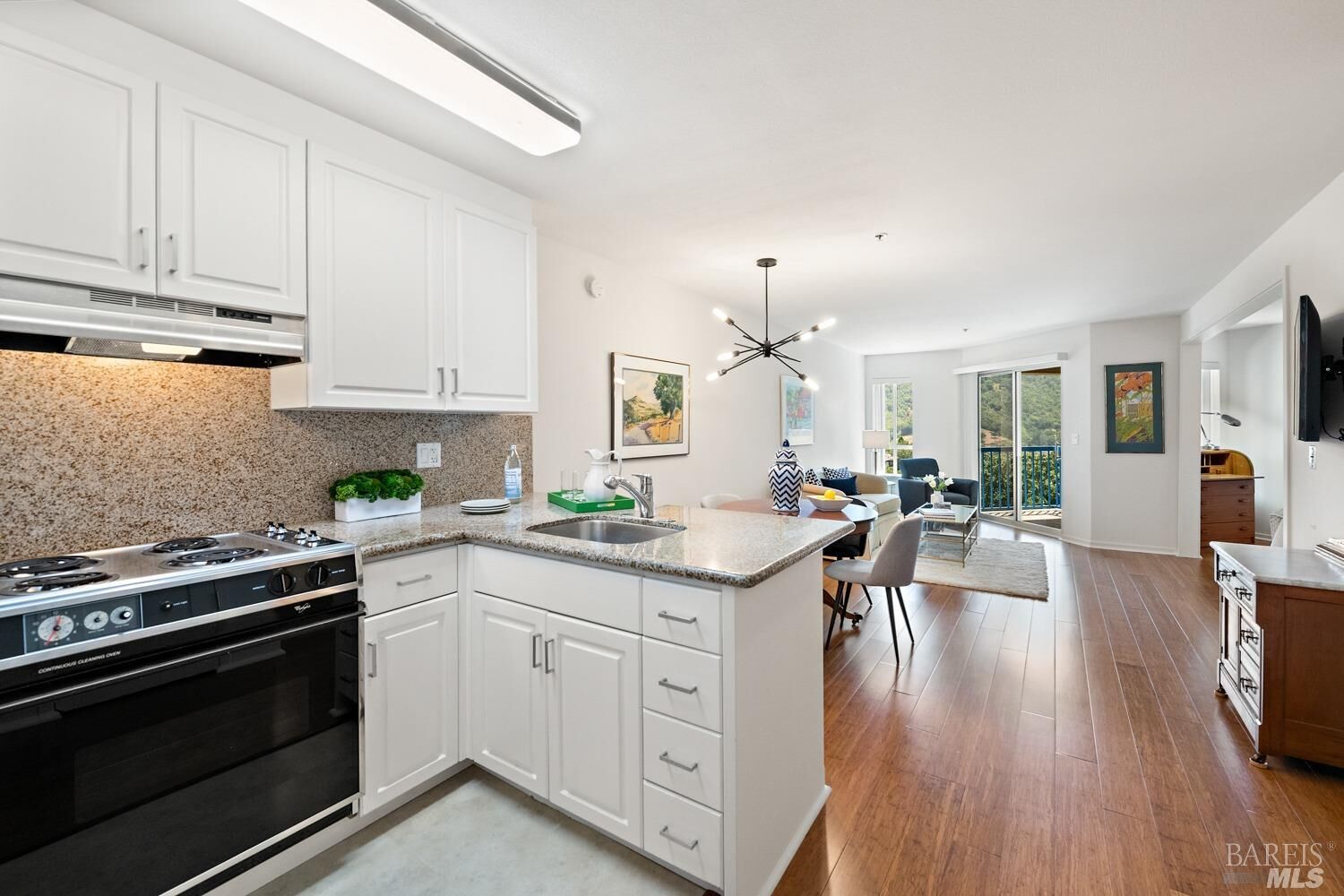 Property Photo:  100 Thorndale Drive 308  CA 94903 