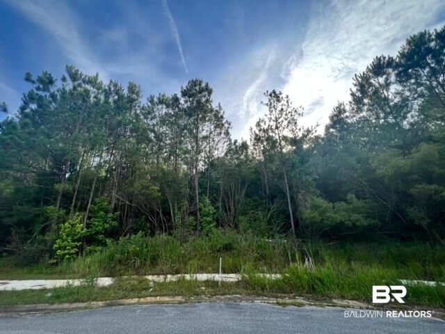 Property Photo: 0 Atlanta Circle AL 36527