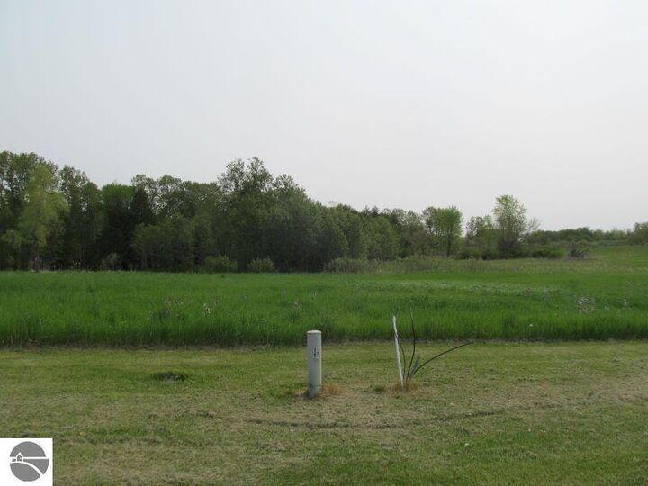 Property Photo:  Lot #20 Hemlock Street  MI 49657 