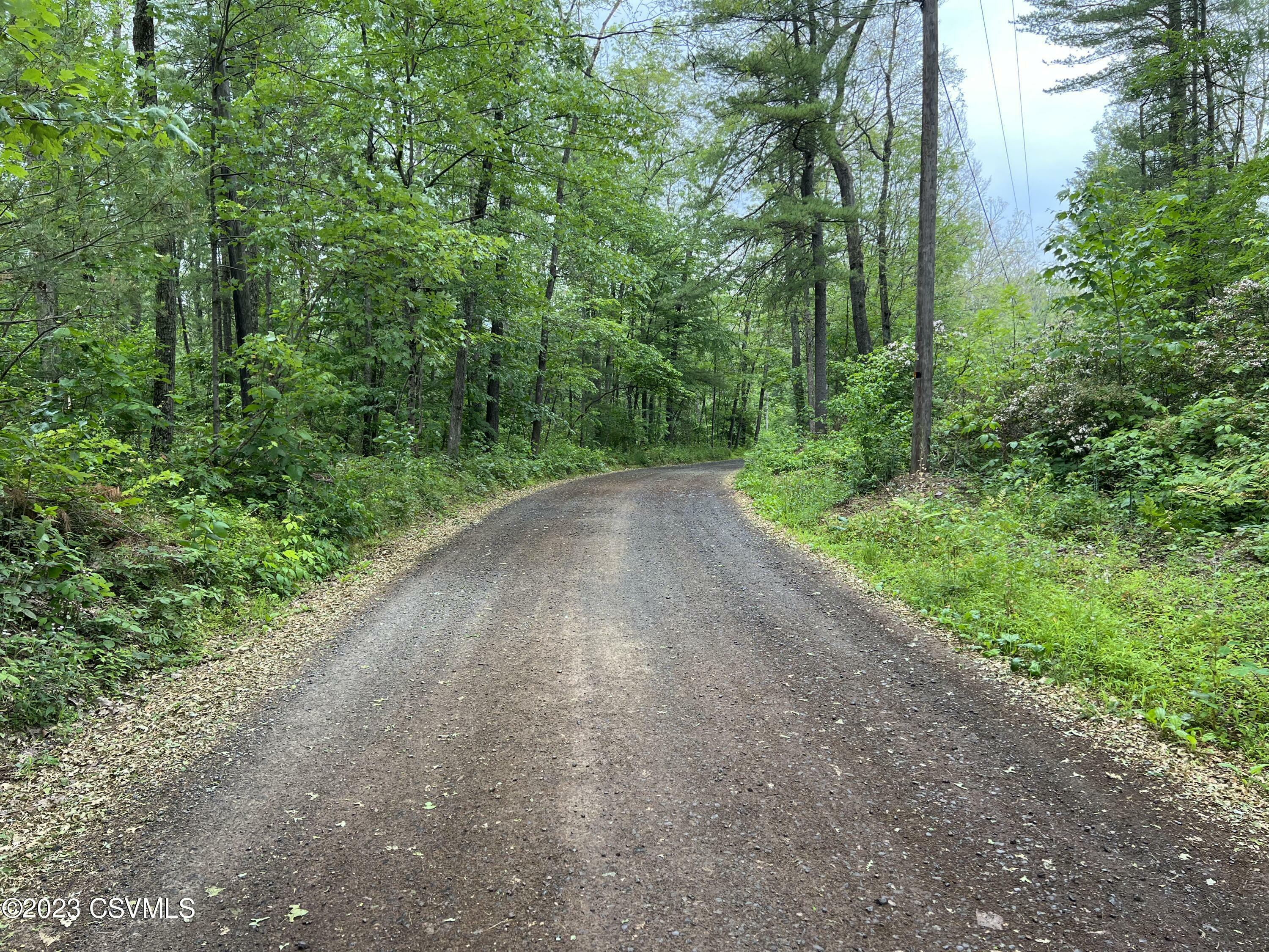 Property Photo:  Nittany Mountain Road  PA 17856 