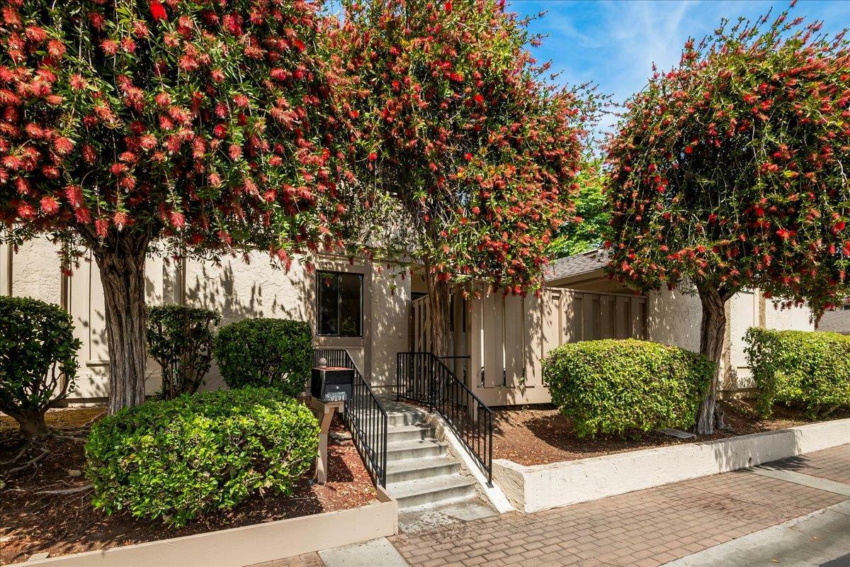 Property Photo: 20604 Mapletree Place CA 95014