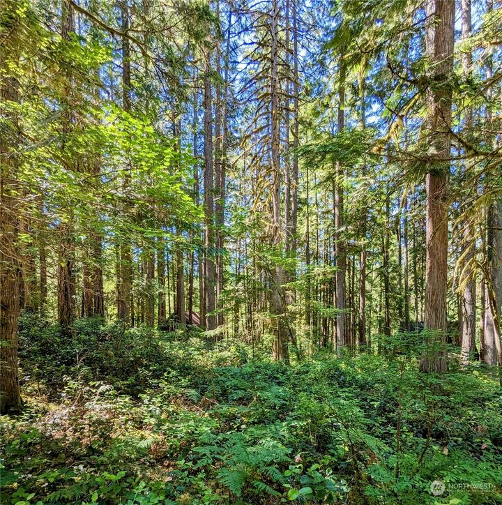 0 Lot 64 Cacade River Park 02  Marblemount WA 98267 photo