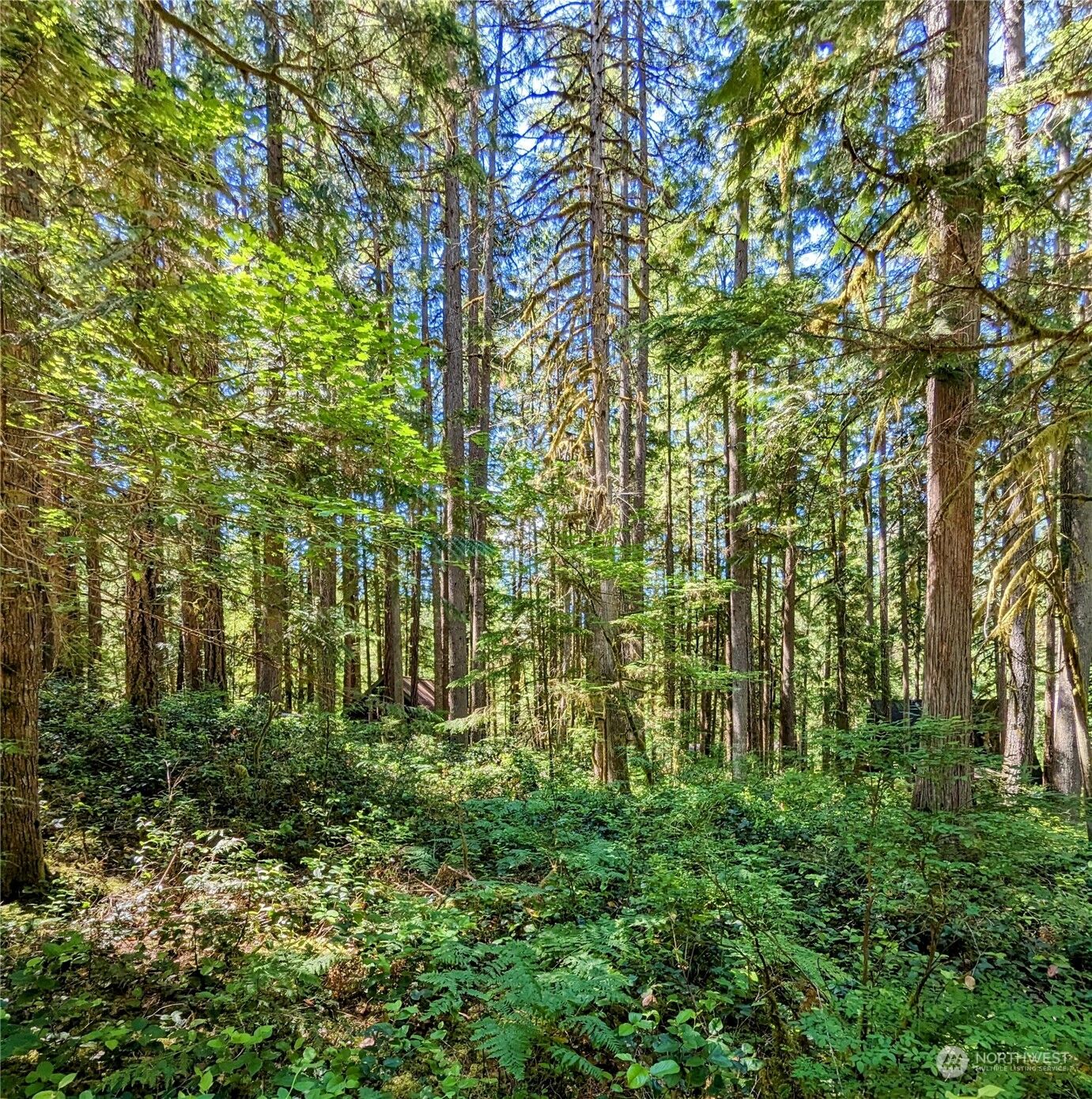 Property Photo: 0 Lot 64 Cacade River Park 02 WA 98267