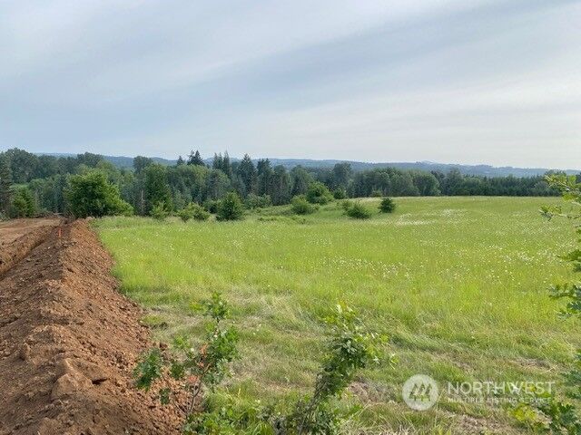 Property Photo: 0 Lot 2 Stearns Road WA 98532