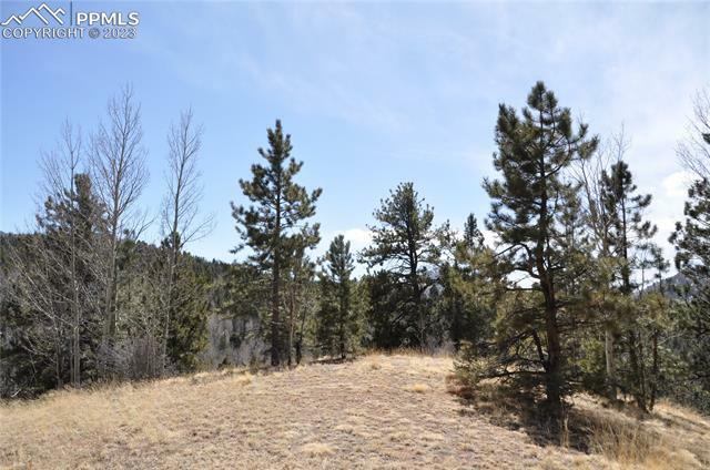 Property Photo:  571 Vivenda Road  CO 80813 