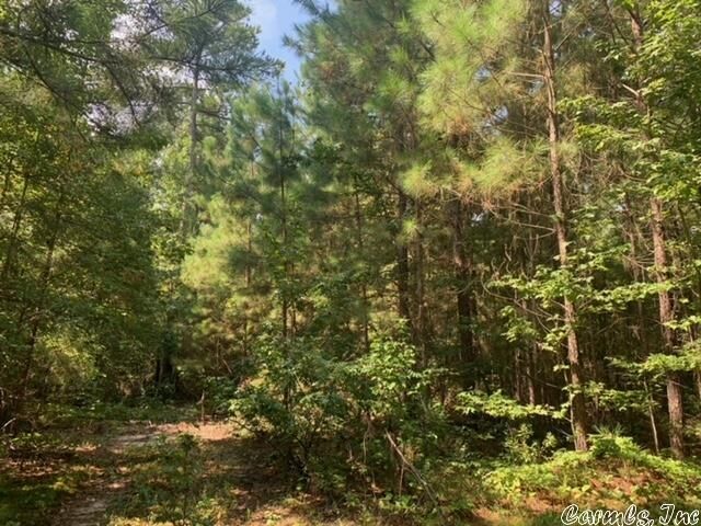 Property Photo: 17.9 Acres Oklahoma Inn Road AR 72015