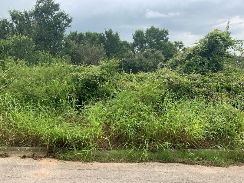 Property Photo:  394 E 7th Avenue  TX 76567 