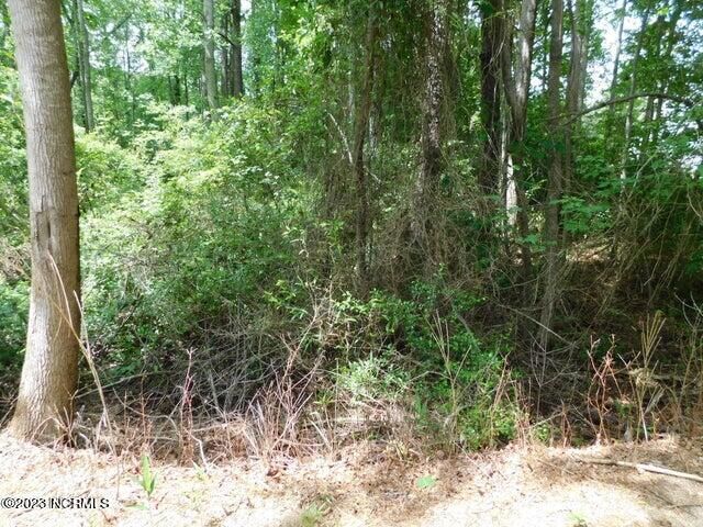 Property Photo: 113 Cambridge Lane NC 27376