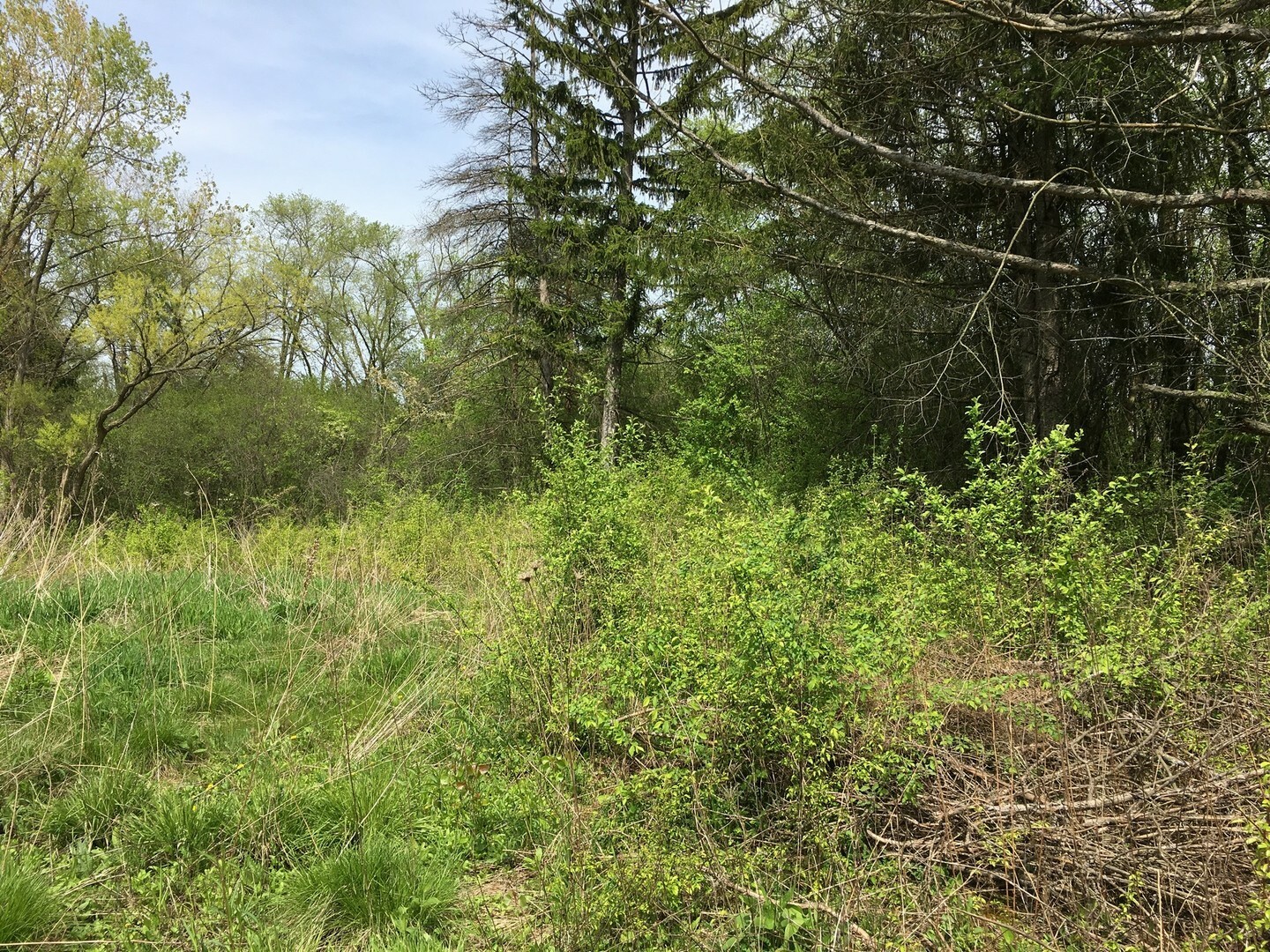 Property Photo:  Lot 4 E Mundhank Road  IL 60010 