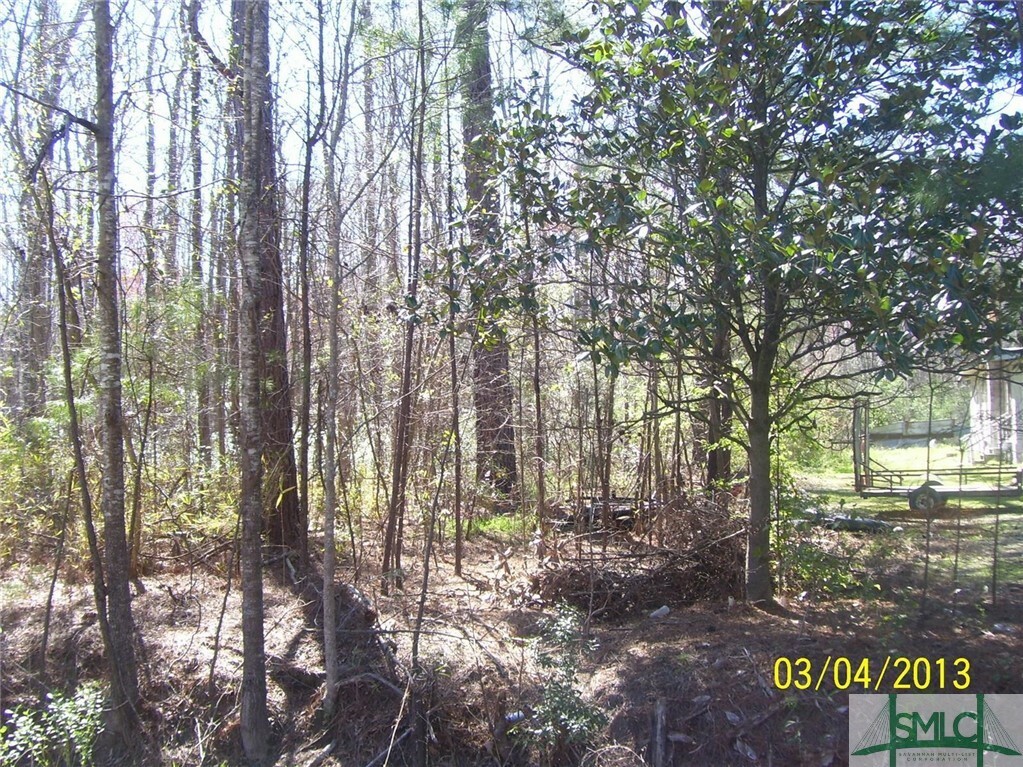 Property Photo:  6.7 Ac Chevis Road  GA 31419 