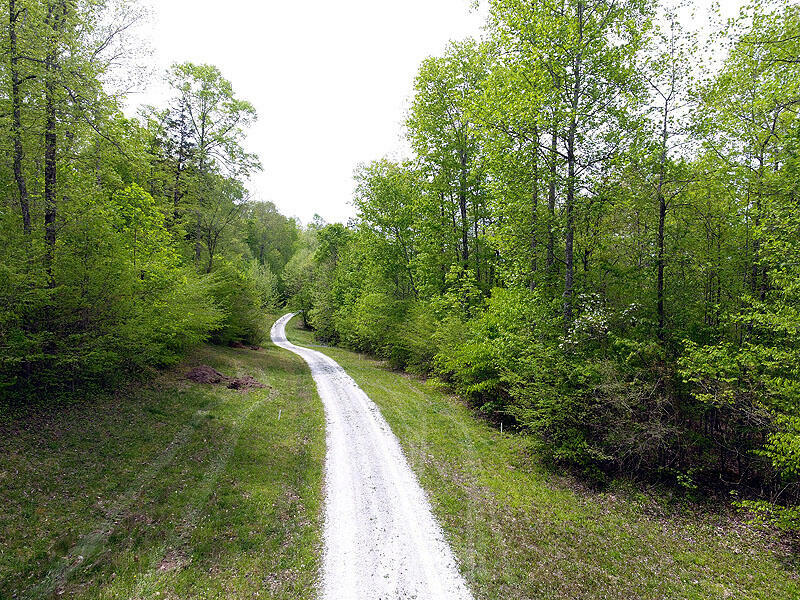 Property Photo:  Tract 13 Dogwood Drive  KY 42653 