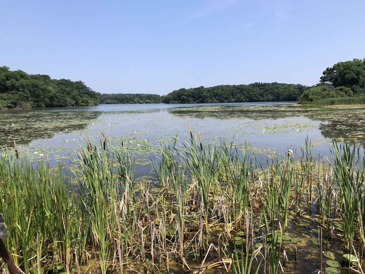 Property Photo:  43400 N Deep Lake Road  IL 60002 