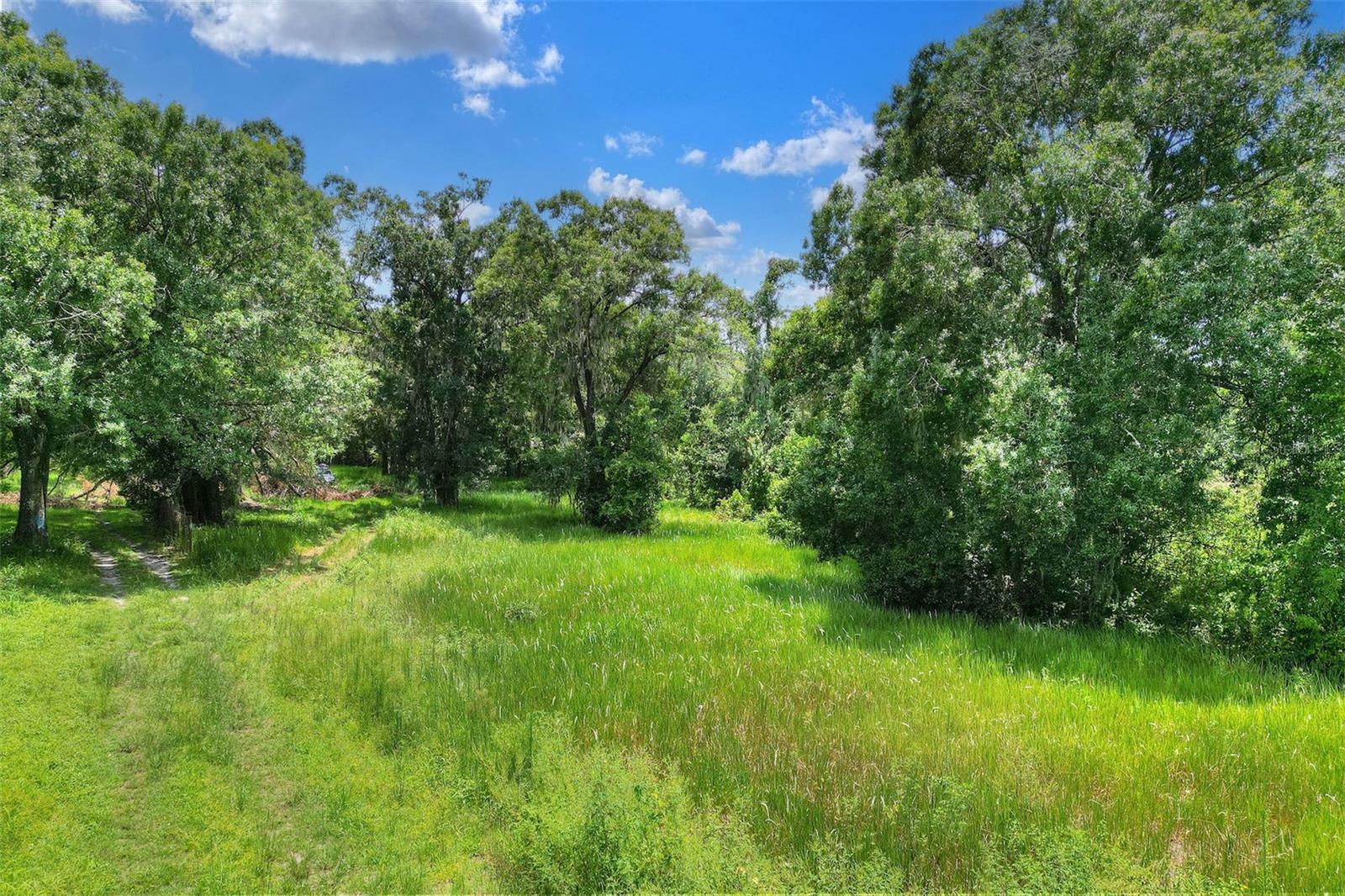 Property Photo:  325 W Socrum Loop Road  FL 33809 