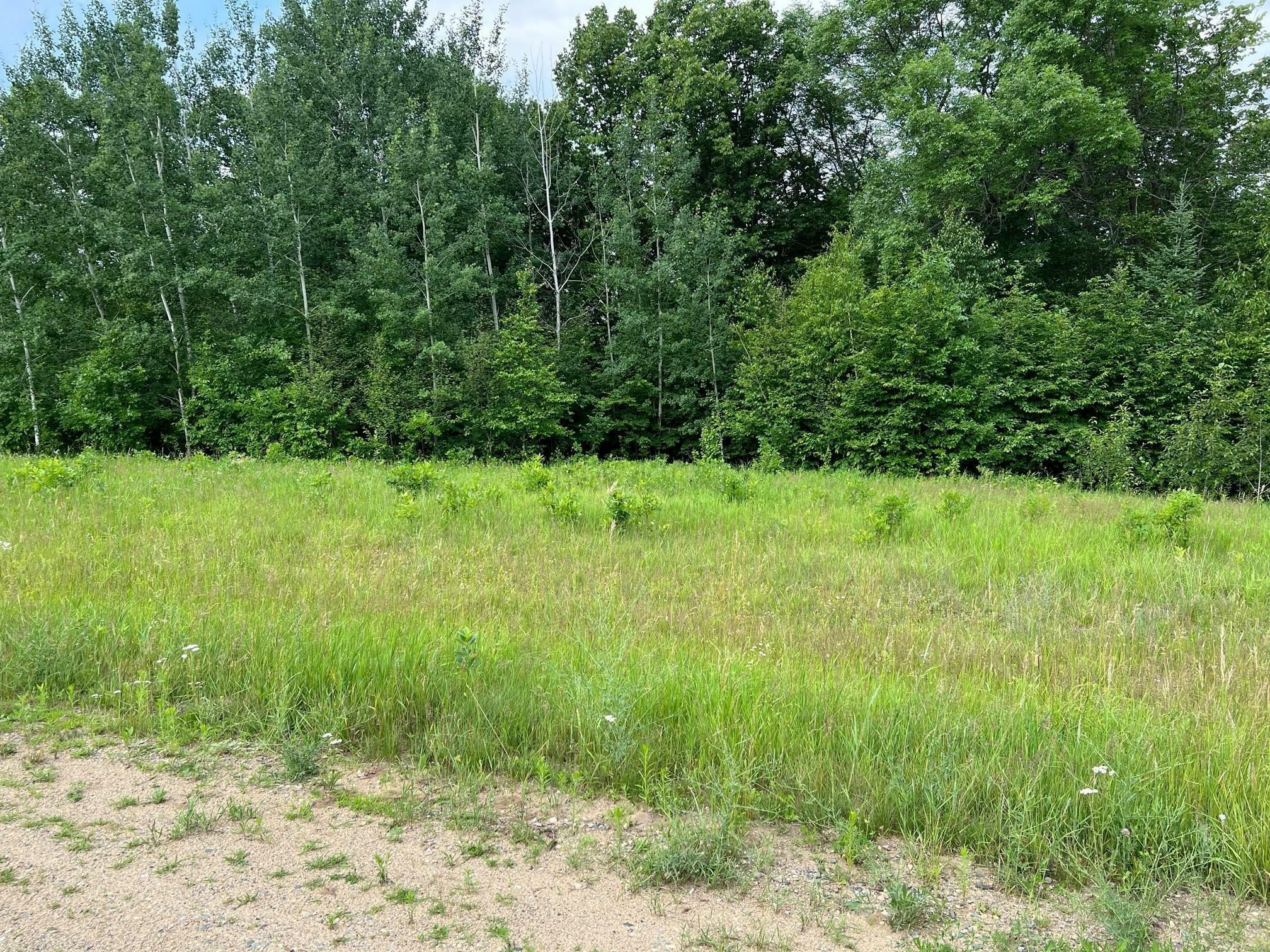 Property Photo:  Lot 4 Tango Drive  MN 56601 