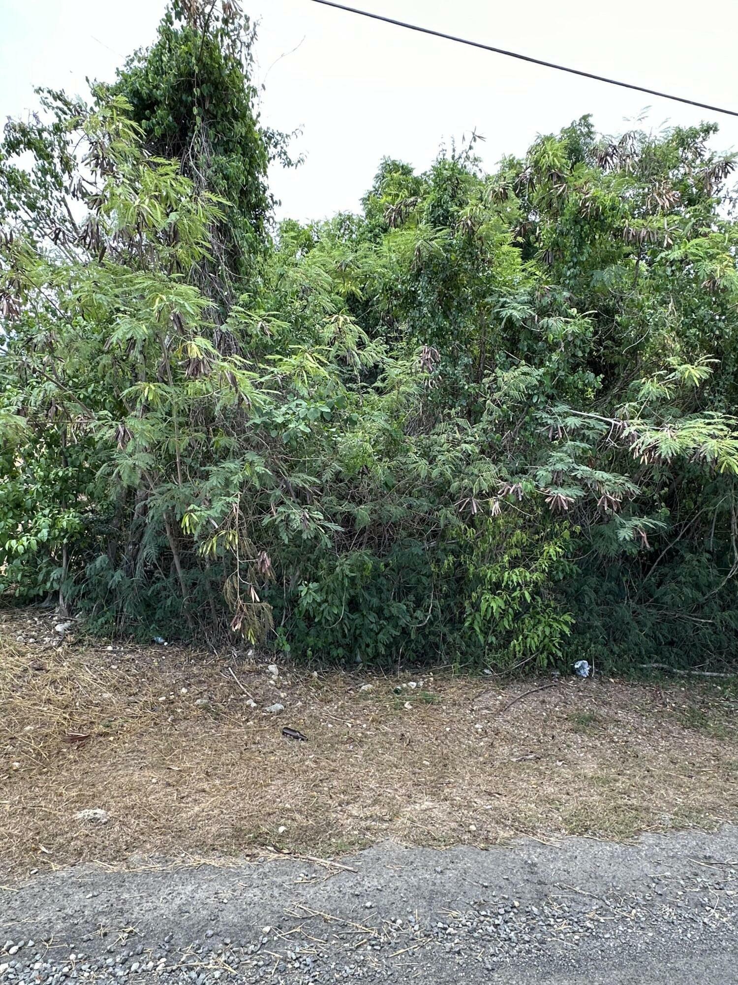 Property Photo: 451 Barren Spot Ki VI 00820
