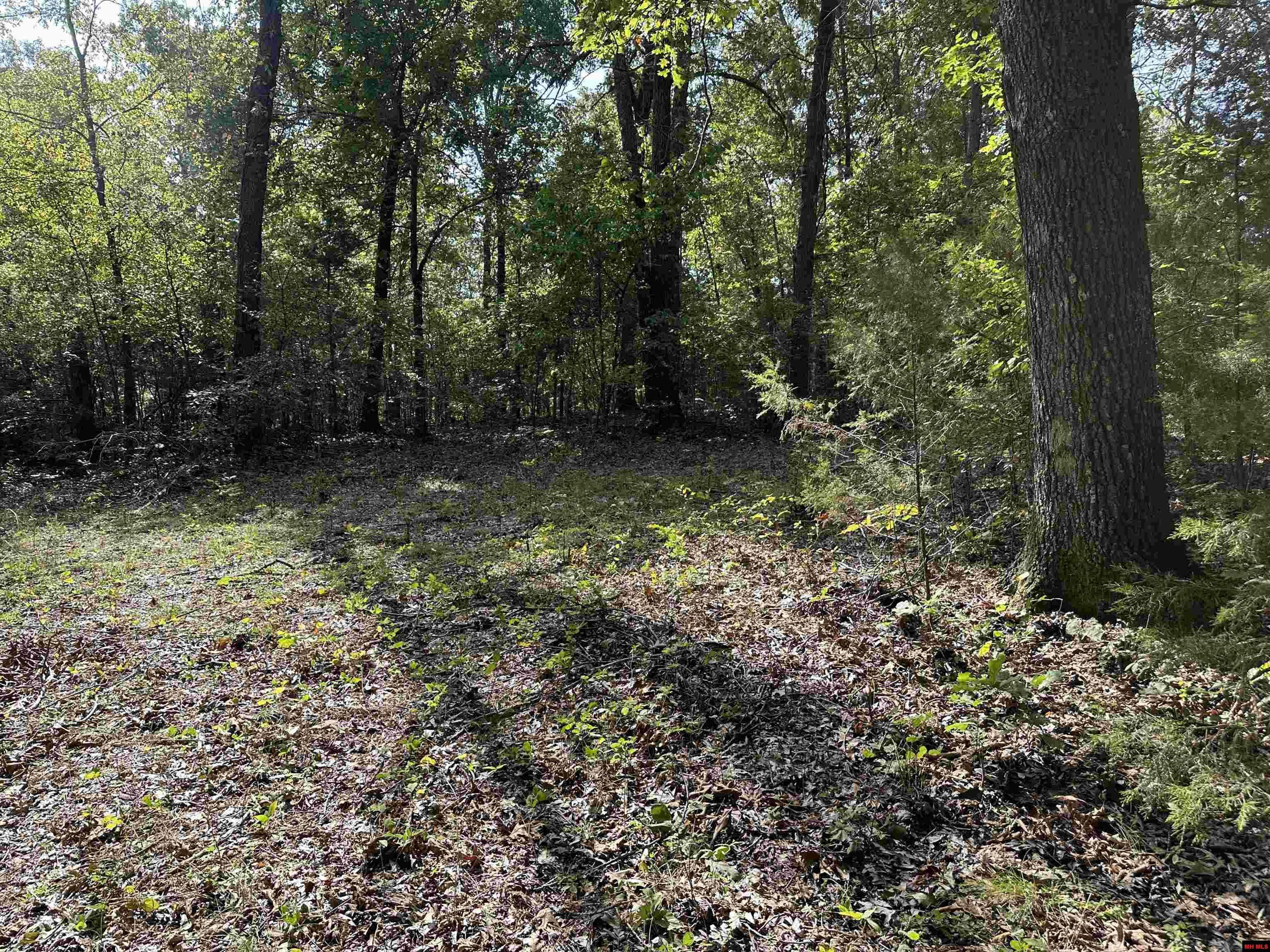 Property Photo:  Lot 1 Mc 7097  AR 72634 