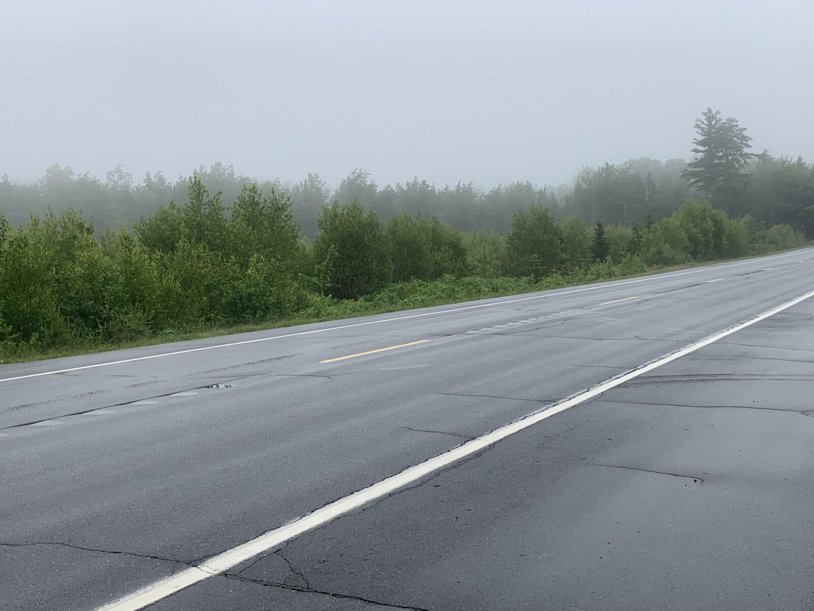 Property Photo:  148 Fire Road Route 1  ME 04607 