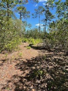 Property Photo: 1745 Cassidy Drive FL 34771