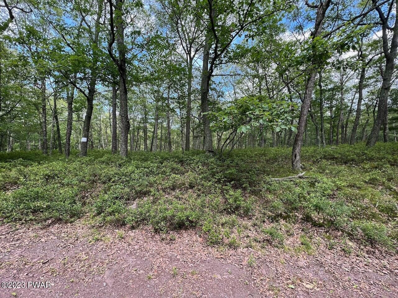 Property Photo:  Lot 144 Mountain Top Road  PA 18435 