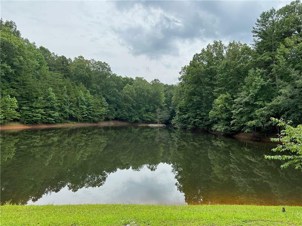 Property Photo: 0 Lake Point Drive GA 30534