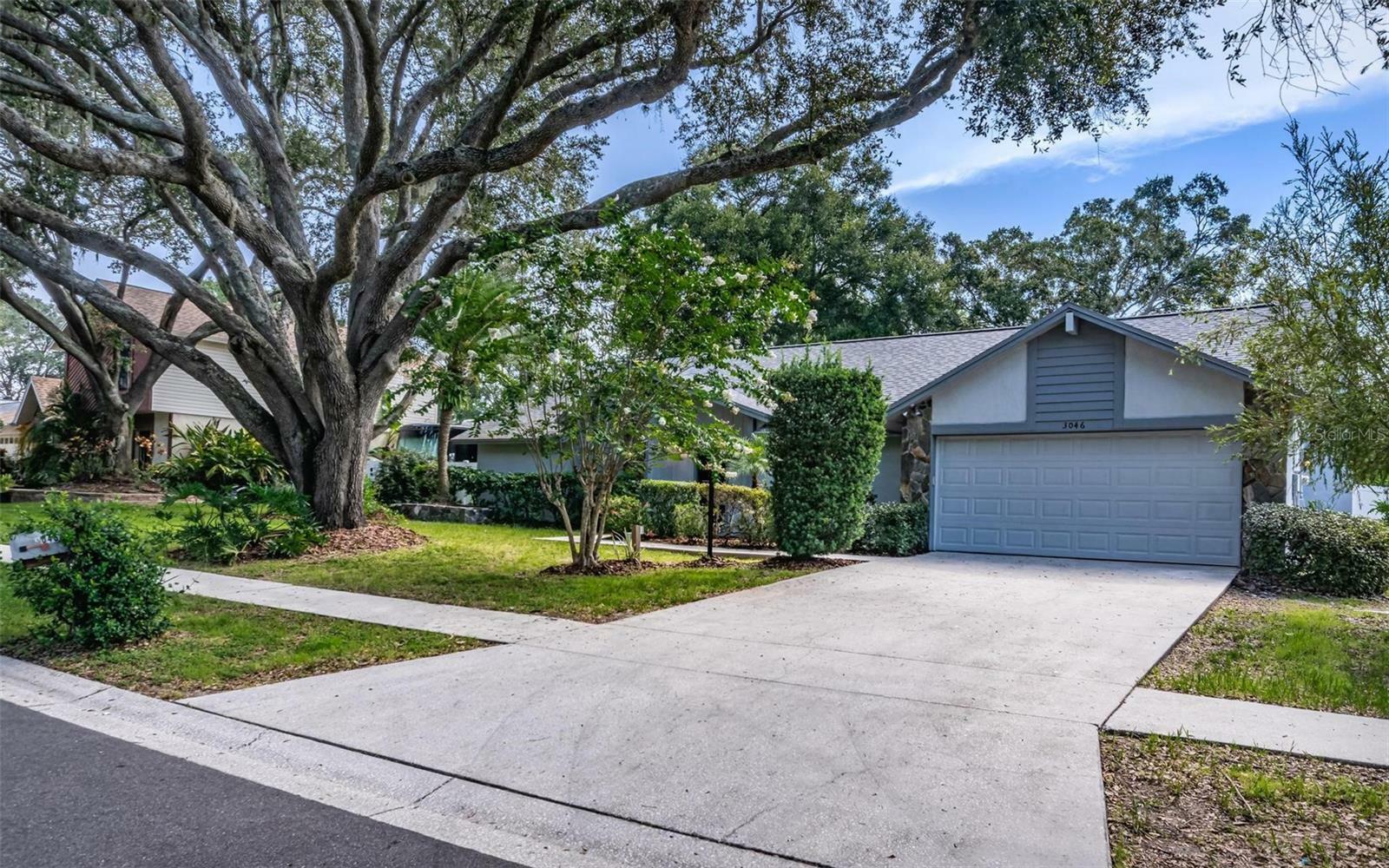 Property Photo: 3046 Avalon Terrace Drive FL 33596