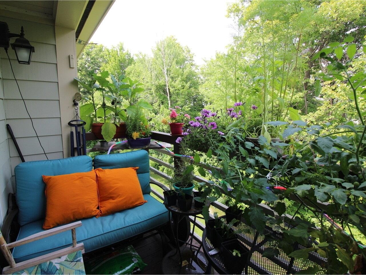 Property Photo:  171 Hildred Drive  VT 05401 