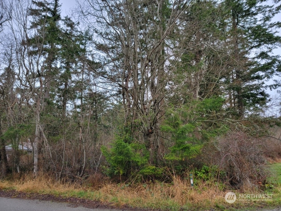 Property Photo: 5 Xxx E Shipping View Drive WA 98249