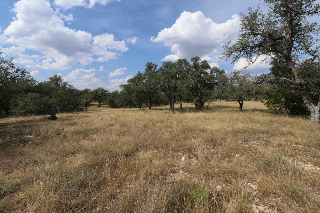 Property Photo:  Lot 31 Nott Branch Rd  TX 78631 