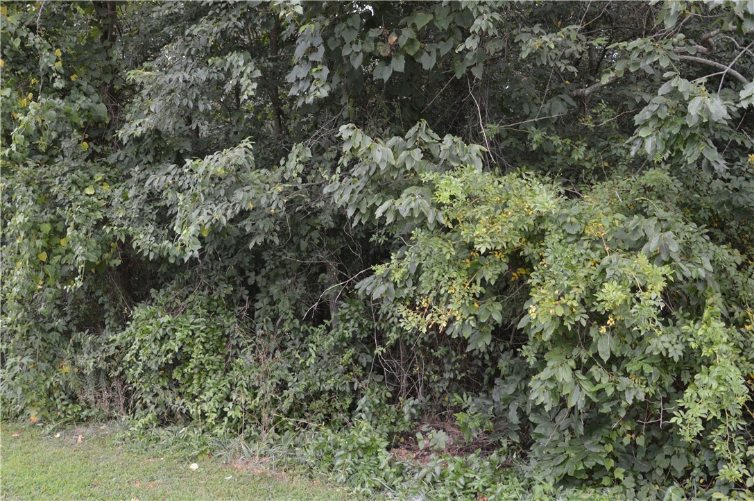 Property Photo: Lot 27 Blairgowrie Drive AR 72715