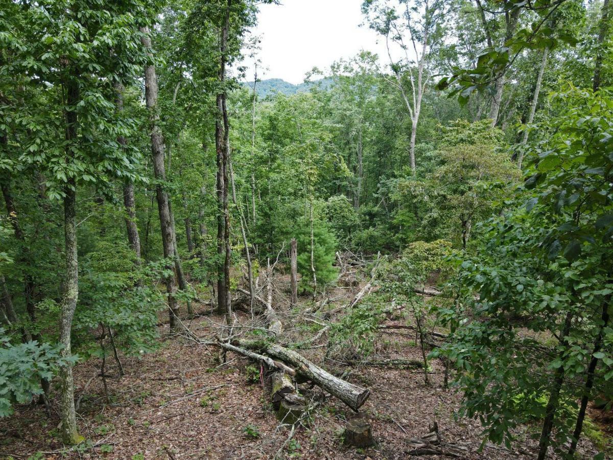 Property Photo:  Lot 1 Birchwood Trails  GA 30560 