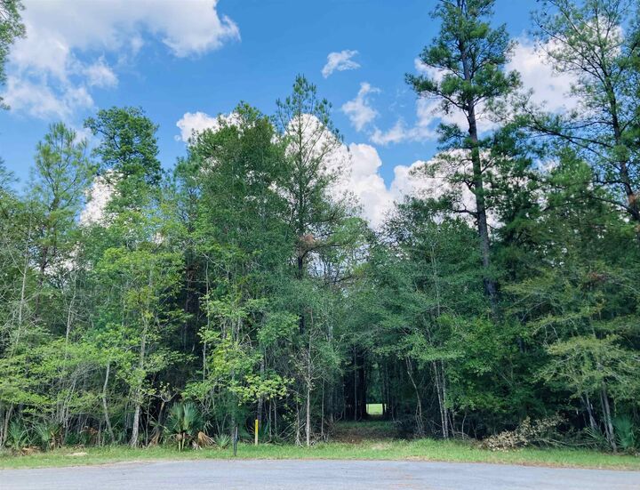 Lot 13 Lakeview Drive  Sour Lake TX 77659 photo