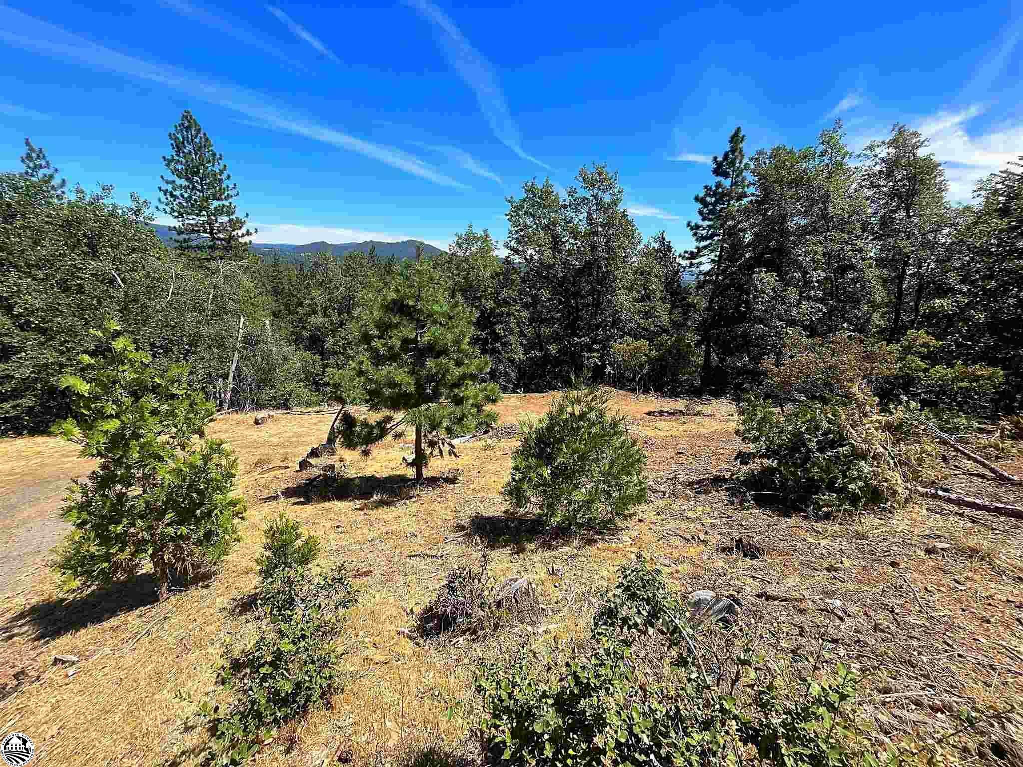 Property Photo:  23371 Oxbow Ln S  CA 95370 