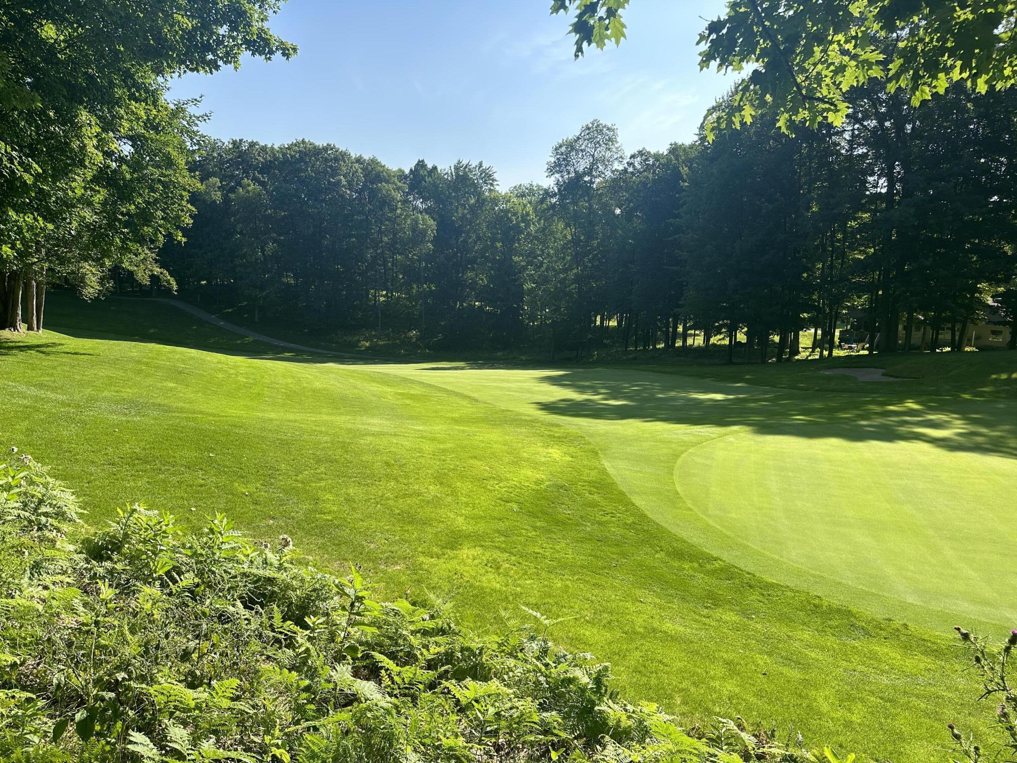 Property Photo: 11260 Apache Wells Court MI 49346