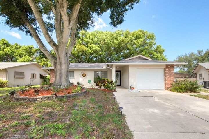 Property Photo: 142 Stafford Circle FL 34684