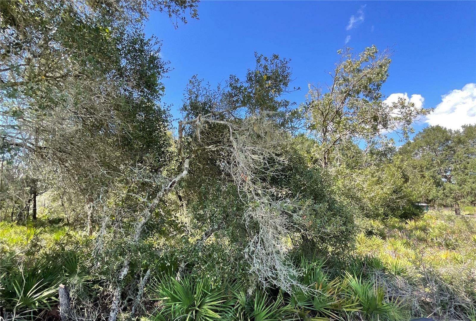 Property Photo:  00 SW 160th Street  FL 34432 